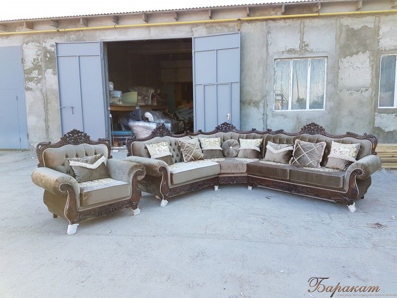 Цезарь угловой   (бук-дерево)